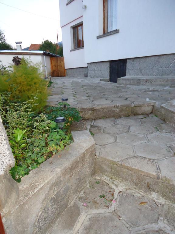 Guest House Ahp Mala Tsurkva Номер фото
