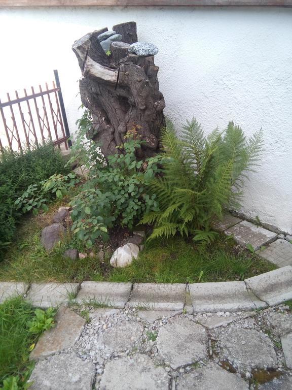 Guest House Ahp Mala Tsurkva Екстер'єр фото