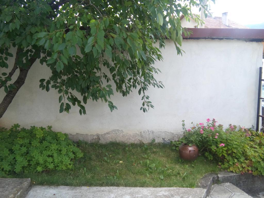 Guest House Ahp Mala Tsurkva Екстер'єр фото