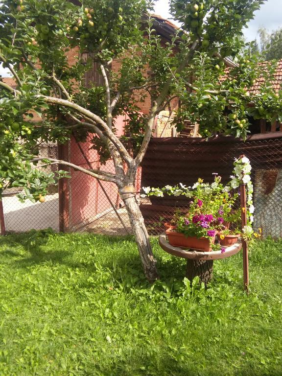 Guest House Ahp Mala Tsurkva Екстер'єр фото