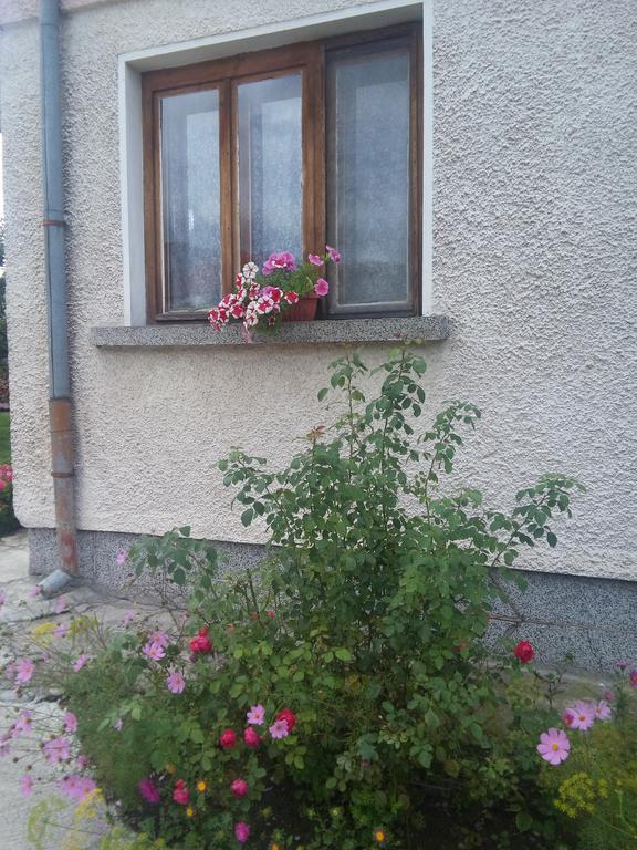 Guest House Ahp Mala Tsurkva Номер фото